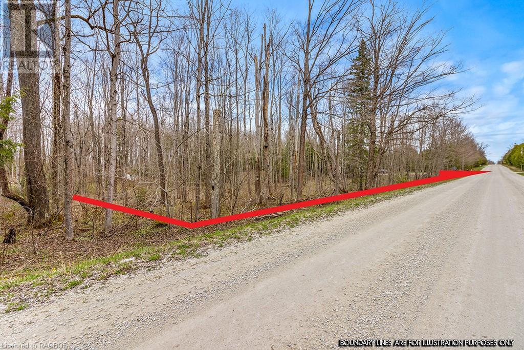 Lot 6 10th Concession, Grey Highlands, Ontario  N0C 1E0 - Photo 23 - 40578714