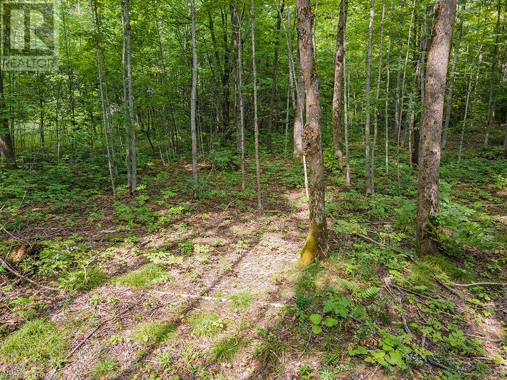Lot 6 10th Concession, Grey Highlands, Ontario  N0C 1E0 - Photo 3 - 40578714