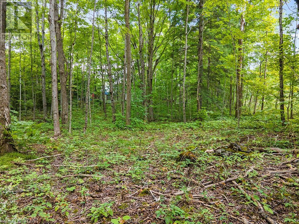 Lot 6 10th Concession, Grey Highlands, Ontario  N0C 1E0 - Photo 4 - 40578714
