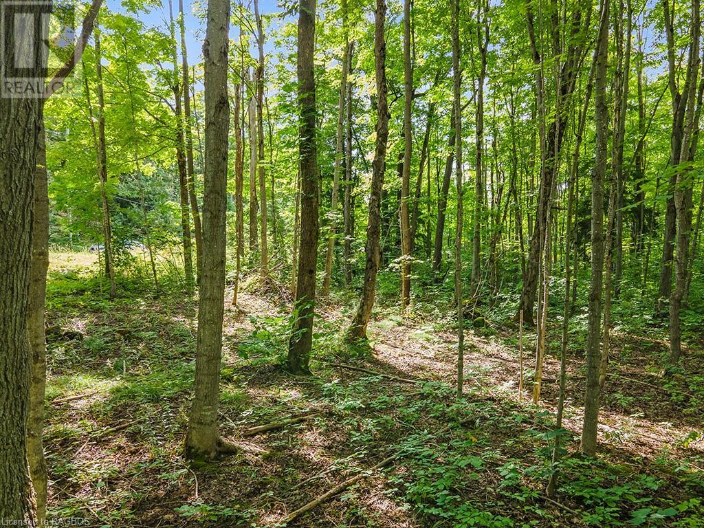 Lot 6 10th Concession, Grey Highlands, Ontario  N0C 1E0 - Photo 5 - 40578714