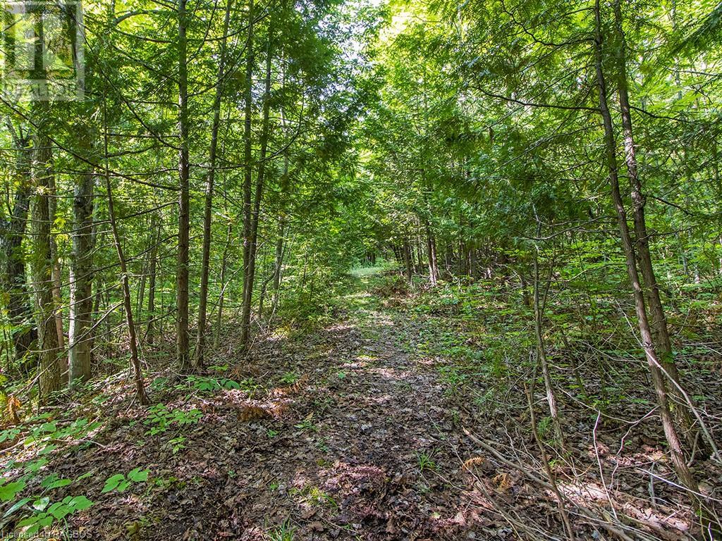 Lot 6 10th Concession, Grey Highlands, Ontario  N0C 1E0 - Photo 6 - 40578714