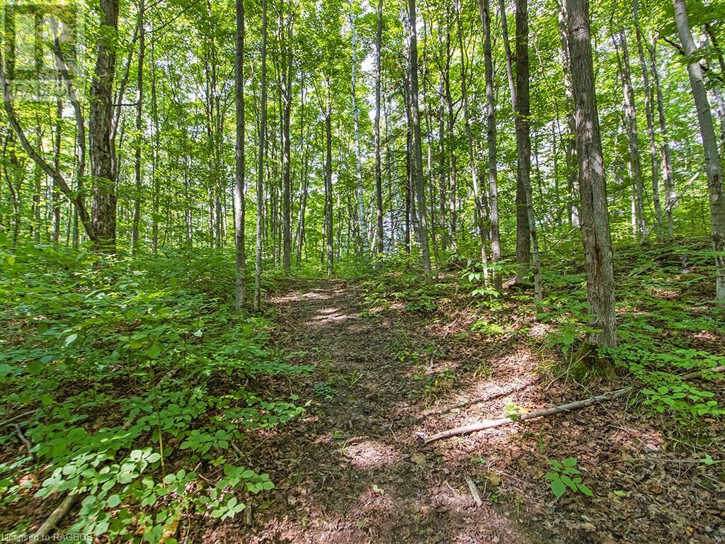 Lot 6 10th Concession, Grey Highlands, Ontario  N0C 1E0 - Photo 8 - 40578714