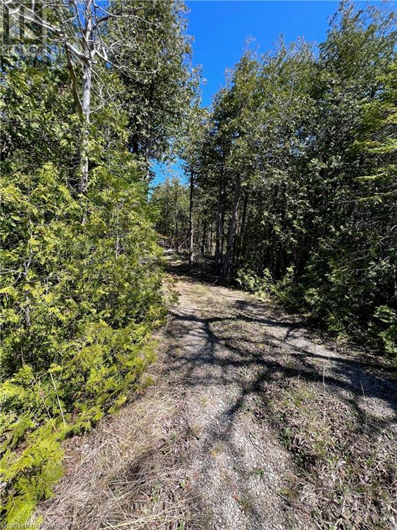 Lot 32 Con 3 Highway 6, South Bruce Peninsula, Ontario  N0H 2T0 - Photo 1 - 40581108