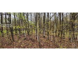 Lot 15 HOLLIE DRIVE