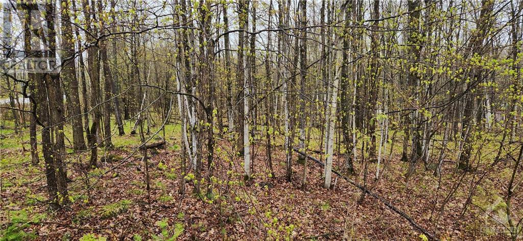 Lot 15 Hollie Drive, Lanark Highlands, Ontario  K0G 1M0 - Photo 3 - 1390030