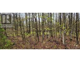 Lot 15 HOLLIE DRIVE
