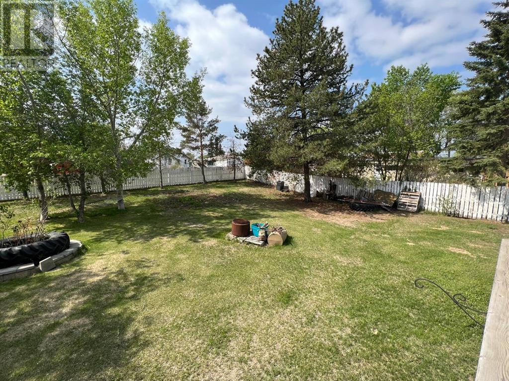 5013 4 Avenue, Chauvin, Alberta  T0B 0V0 - Photo 31 - A2128861