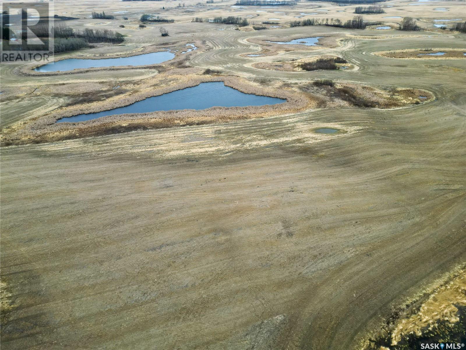 Cheal Lake Road Farm Land, Buckland Rm No. 491, Saskatchewan  S6V 5R3 - Photo 3 - SK968059