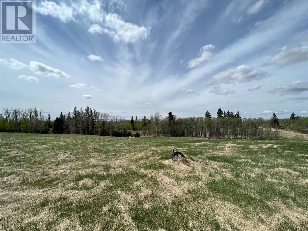 143 Wolf Run Drive, Rural Ponoka County, Alberta  T4J 1R3 - Photo 8 - A2128271