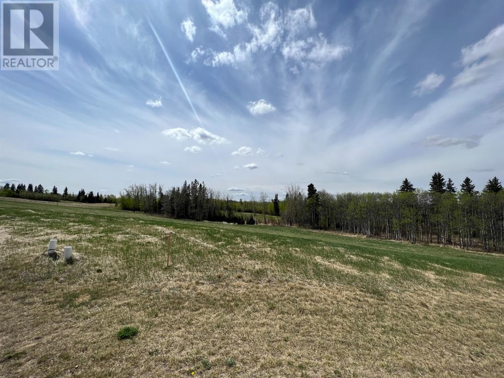 143 Wolf Run Drive, Rural Ponoka County, Alberta  T4J 1R3 - Photo 5 - A2128271