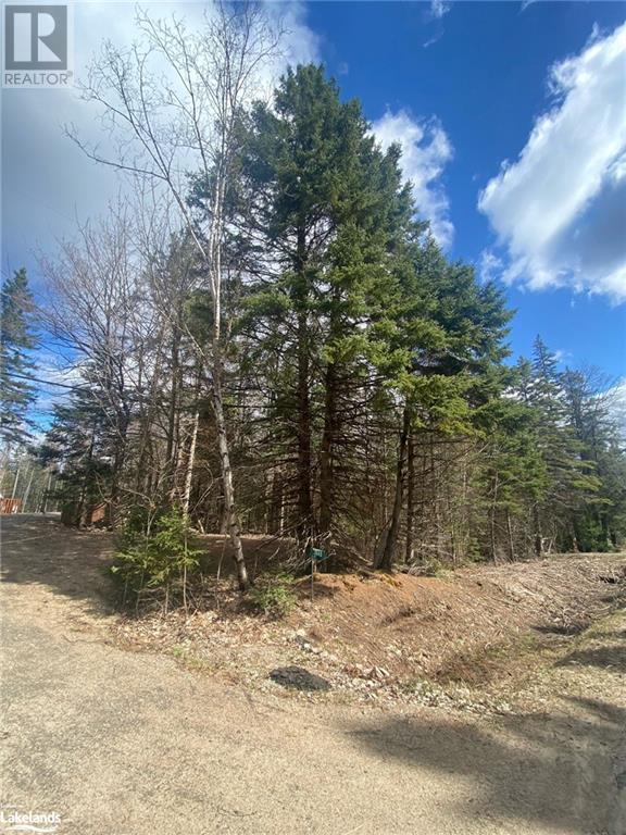 Plot 143 Lot 12 Farrell Court, Sprucedale, Ontario  P0A 1Y0 - Photo 4 - 40582852