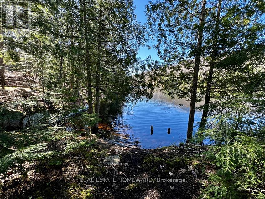 1071 #8 Trout Lake Road, Lake Of Bays, Ontario  P0B 1A0 - Photo 26 - X8295330