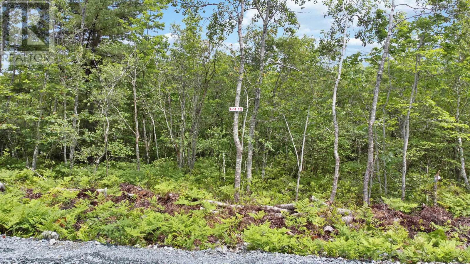 Lot 12 Maple Ridge Drive, White Point, Nova Scotia  B0T 1K0 - Photo 5 - 202315158