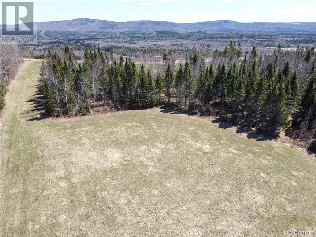 Lot Howland Ridge Road, Millville, New Brunswick  E6E 1R2 - Photo 10 - NB098609