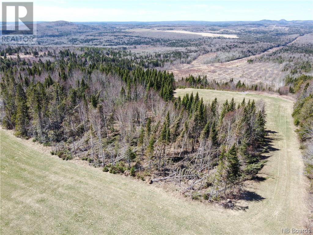 Lot Howland Ridge Road, Millville, New Brunswick  E6E 1R2 - Photo 9 - NB098609