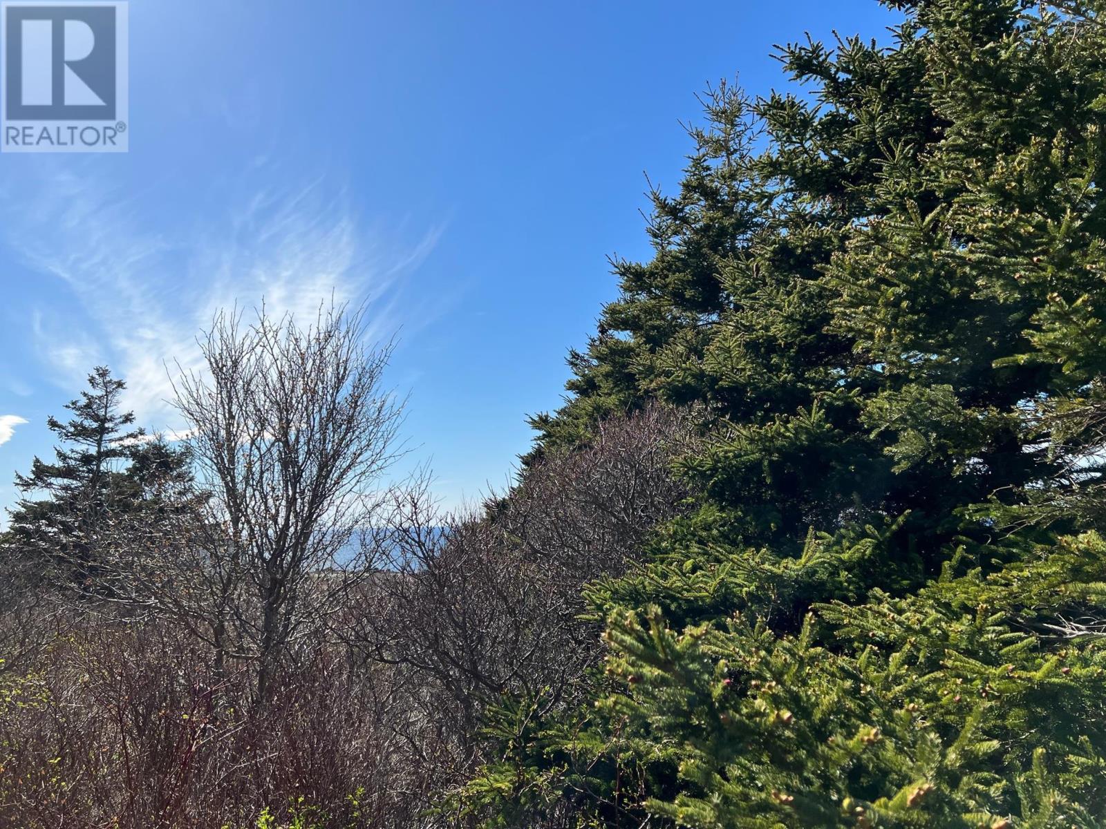 11838 Cabot Trail, Cap Le Moine, Nova Scotia  B0E 3A0 - Photo 5 - 202409056