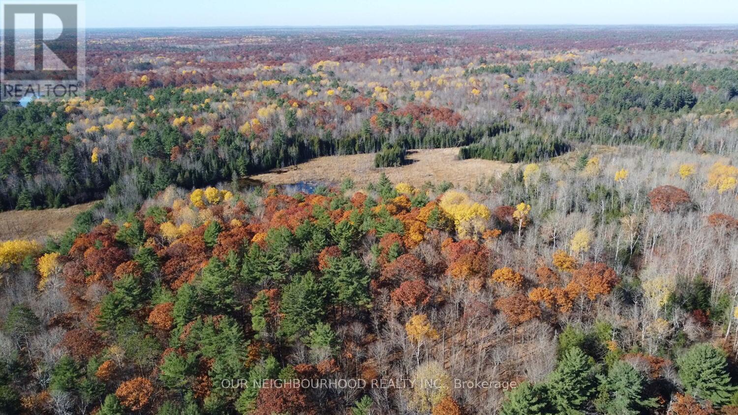 277 Lake Tangamong, Marmora And Lake, Ontario  K0K 2M0 - Photo 39 - X8310136