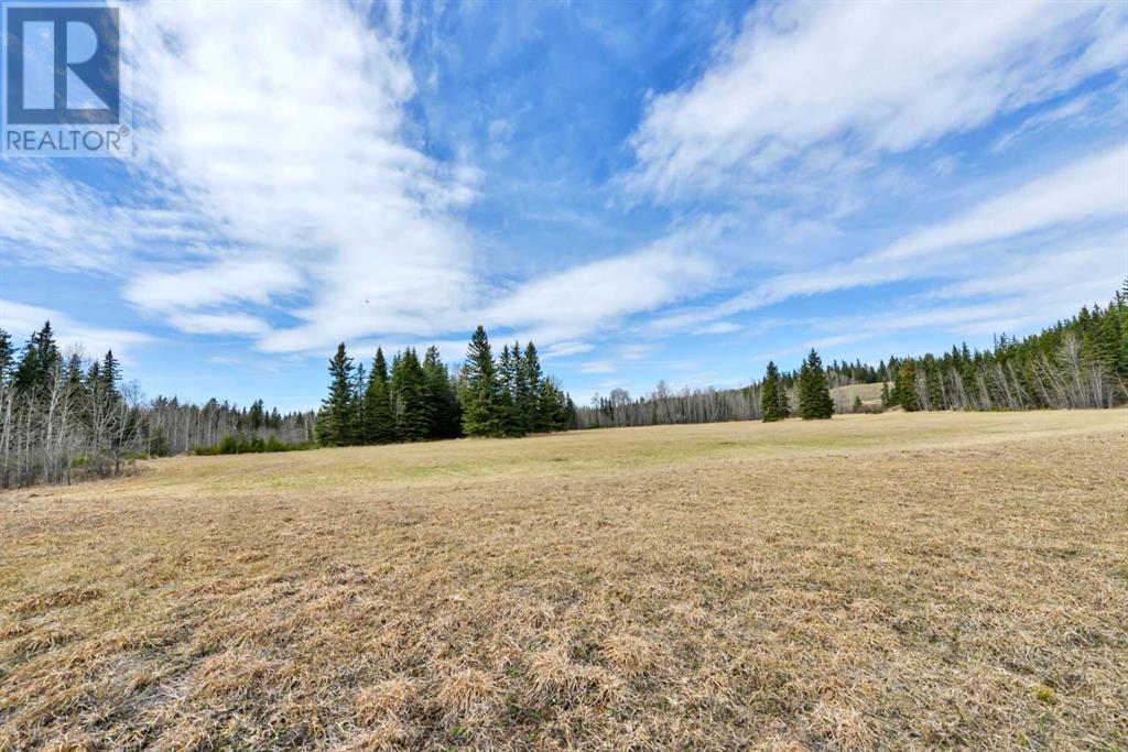 105 Meadow Drive, Rural Clearwater County, Alberta  T4T 0A3 - Photo 31 - A2097833