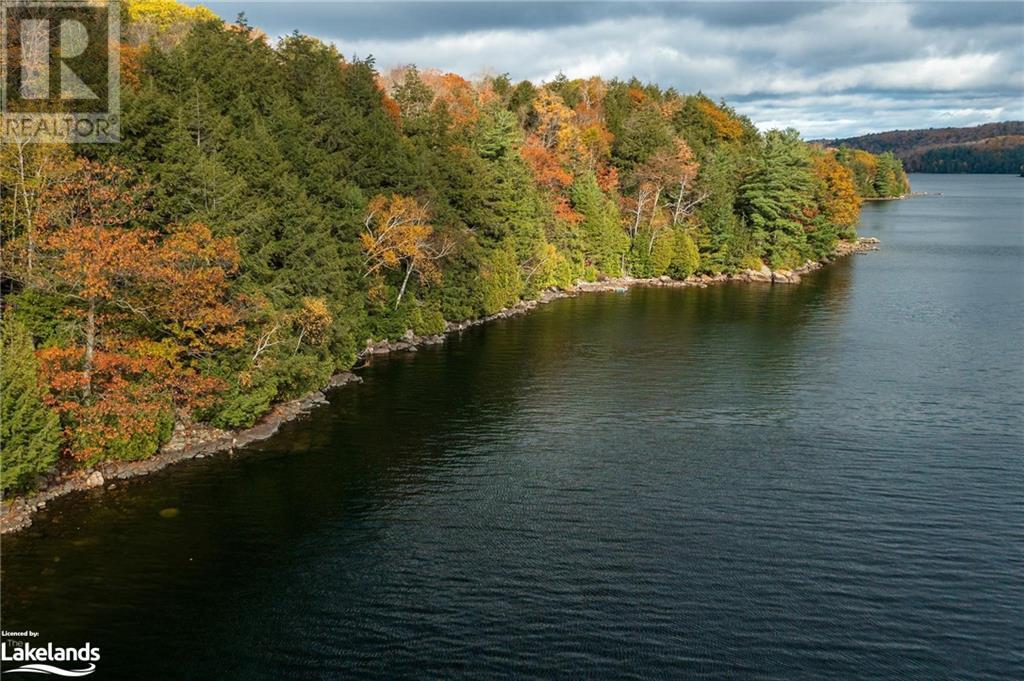 16750 Dennison Island, Dorset, Ontario  P0A 1E0 - Photo 3 - 40556239