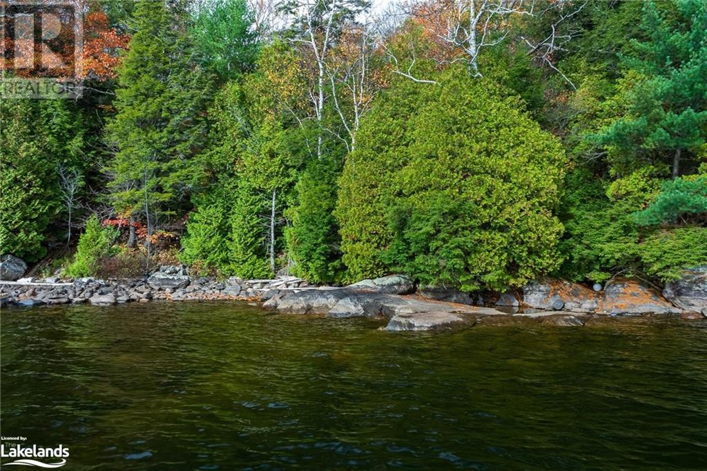 16750 Dennison Island, Dorset, Ontario  P0A 1E0 - Photo 14 - 40556239