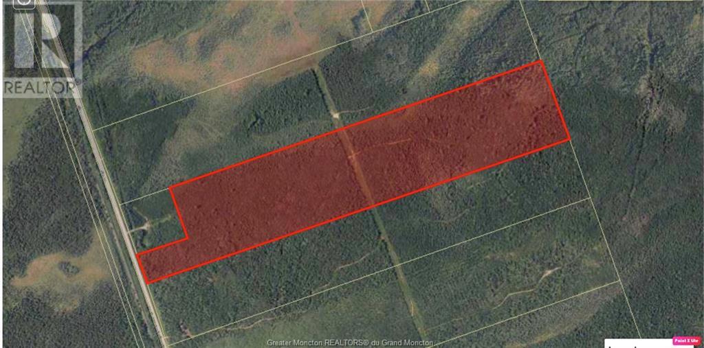 Wood Lot Route 126, Acadieville, New Brunswick  E4W 2C3 - Photo 3 - M159205