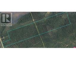 Wood Lot Route 126