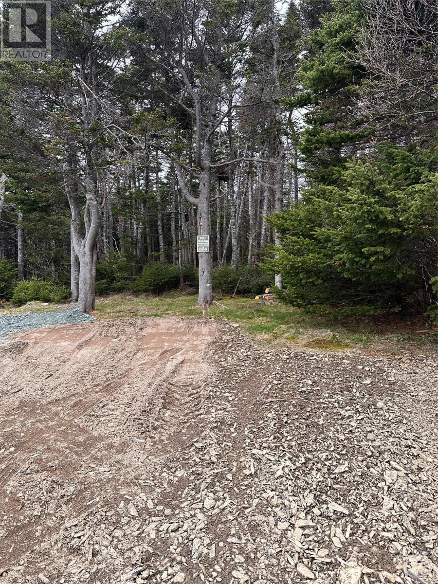 4 Dirt Road, Grand Beach, Newfoundland & Labrador  A0E 2M0 - Photo 10 - 1271819