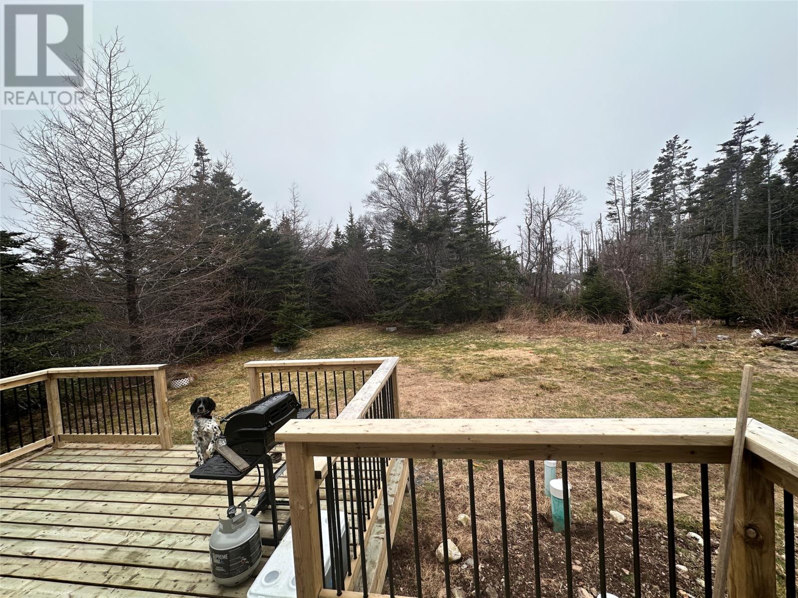 4 Dirt Road, Grand Beach, Newfoundland & Labrador  A0E 2M0 - Photo 15 - 1271819