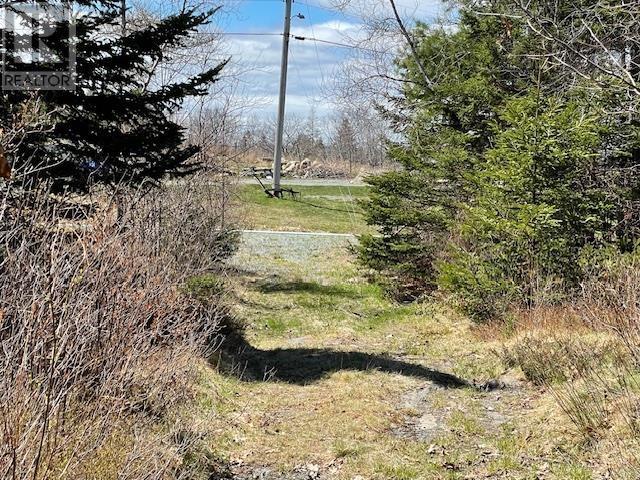 570 Huey Lake Road, Mount Pleasant, Nova Scotia  B0R 1A0 - Photo 5 - 202409588