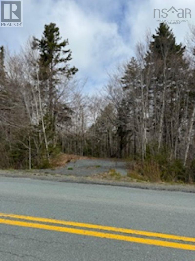 Lot 2 Crouse Settlement Road, Italy Cross, Nova Scotia  B4V 0P5 - Photo 5 - 202409539