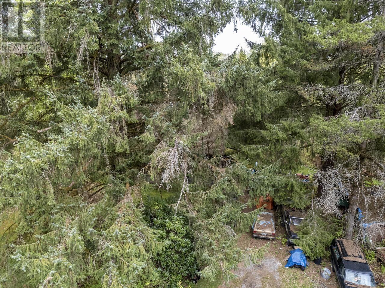 12310 256 Street, Maple Ridge, British Columbia  V4R 1B6 - Photo 10 - R2880242