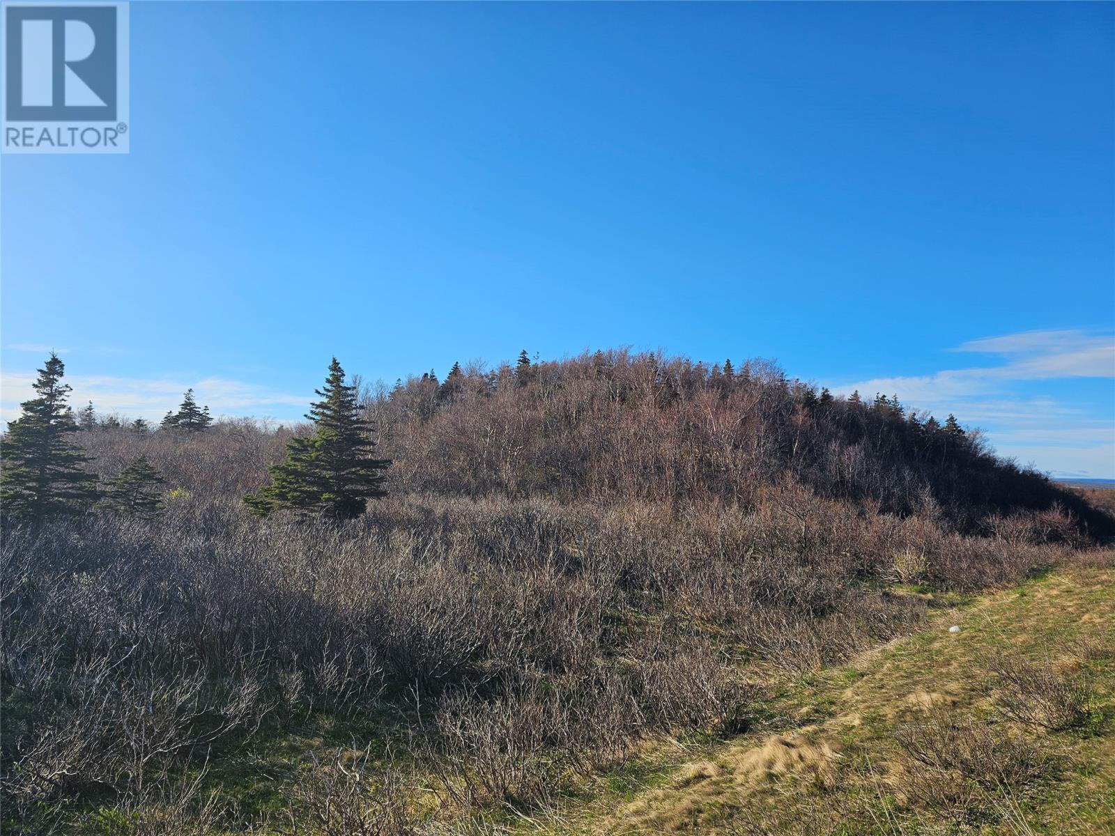 Lorem Ipsum D, Mcdougall's, Newfoundland & Labrador  A0N  - Photo 2 - DEMO26862199