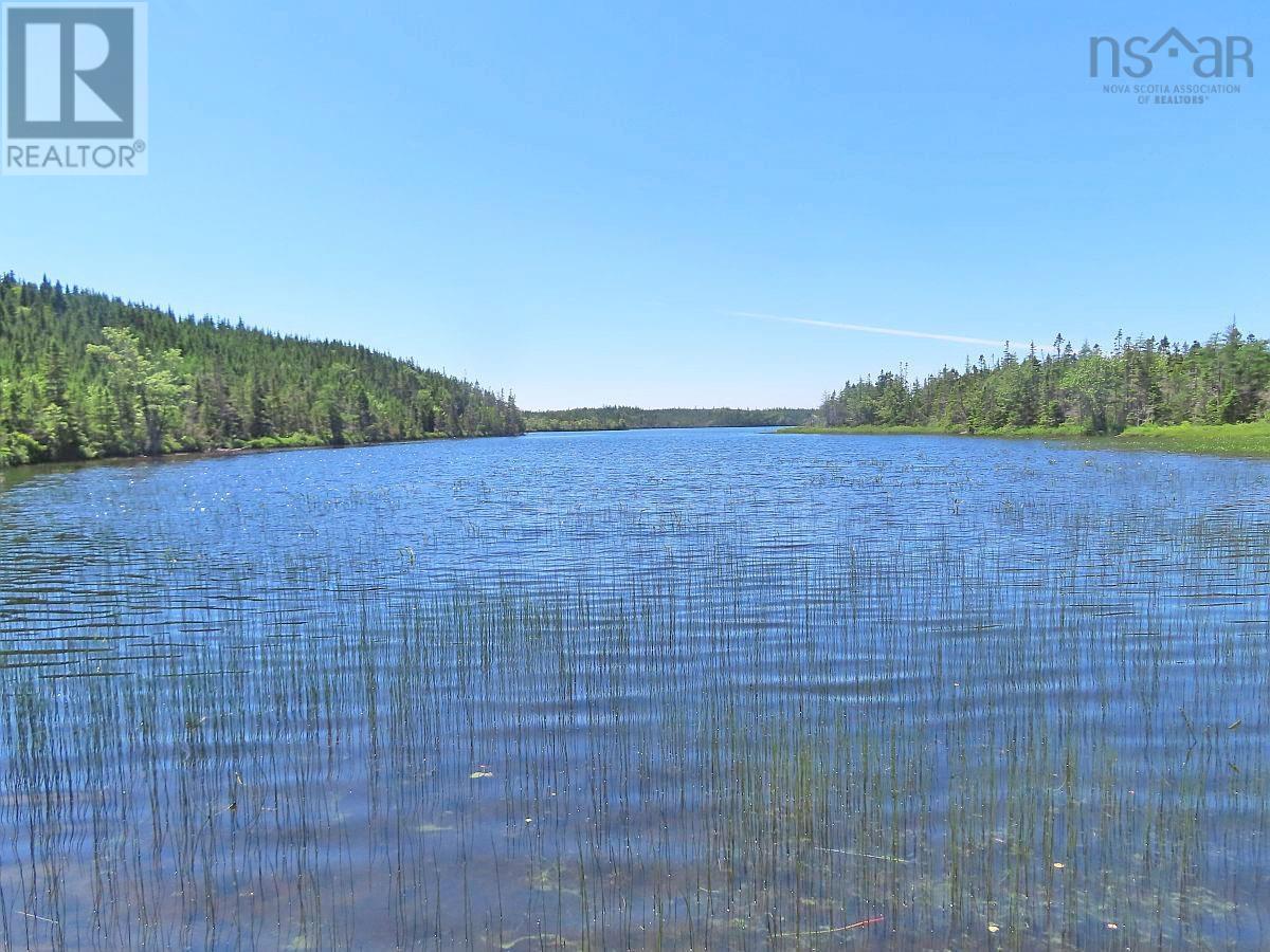 100 Acres Upper Grand Mira Road, upper grand mira, Nova Scotia