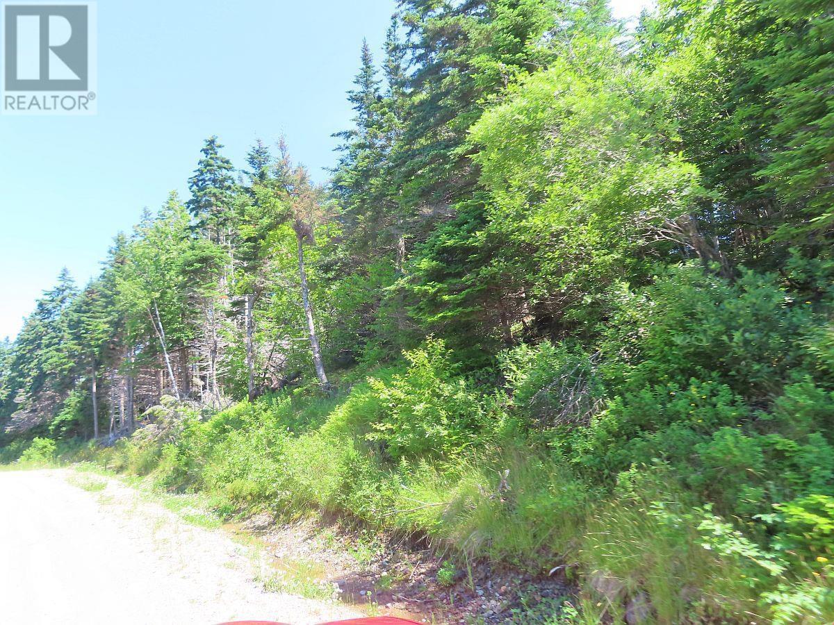 100 Acres Upper Grand Mira Road, Upper Grand Mira, Nova Scotia  B1K 1M1 - Photo 13 - 202402651