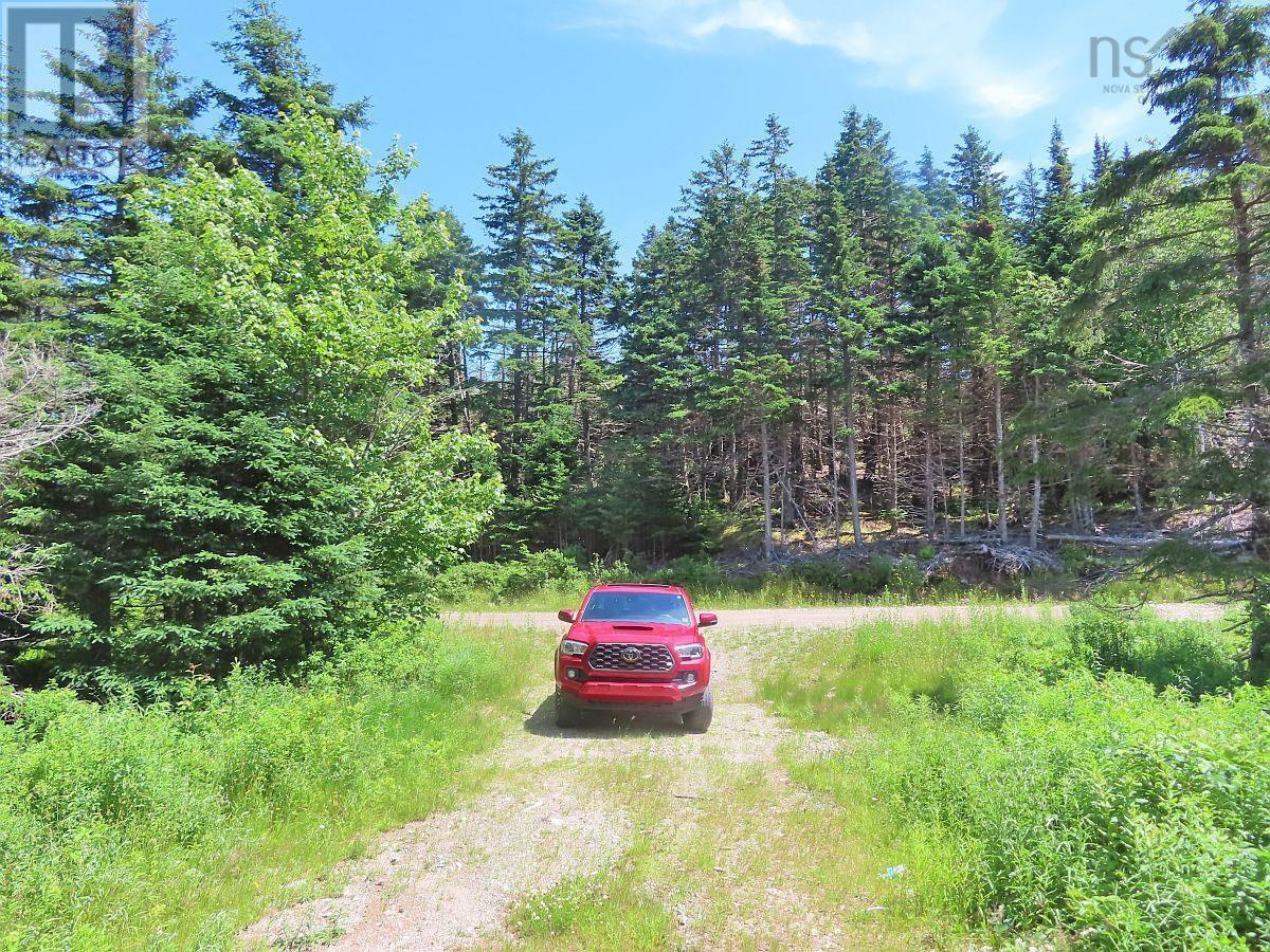 100 Acres Upper Grand Mira Road, Upper Grand Mira, Nova Scotia  B1K 1M1 - Photo 18 - 202402651