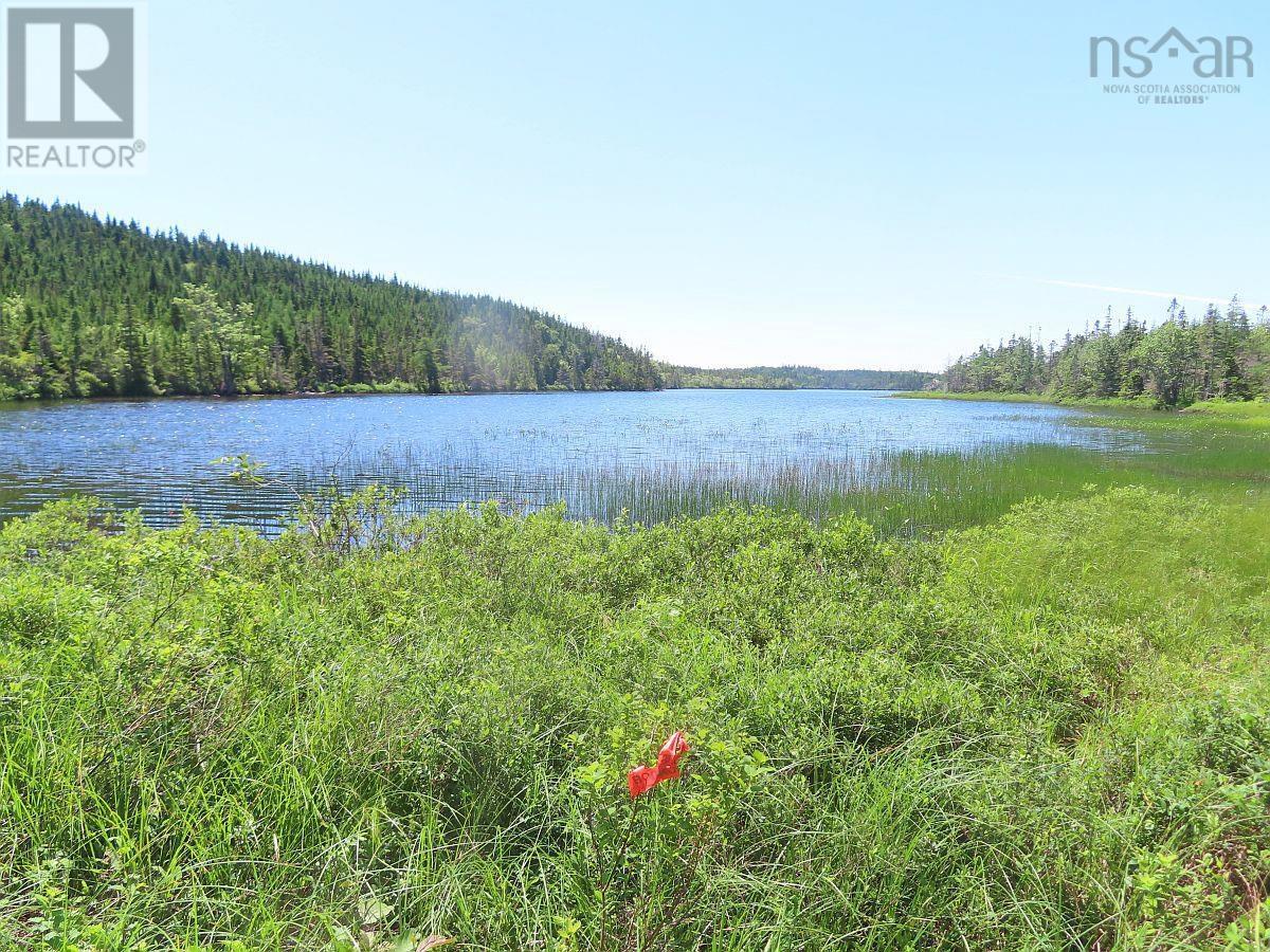 100 Acres Upper Grand Mira Road, Upper Grand Mira, Nova Scotia  B1K 1M1 - Photo 2 - 202402651