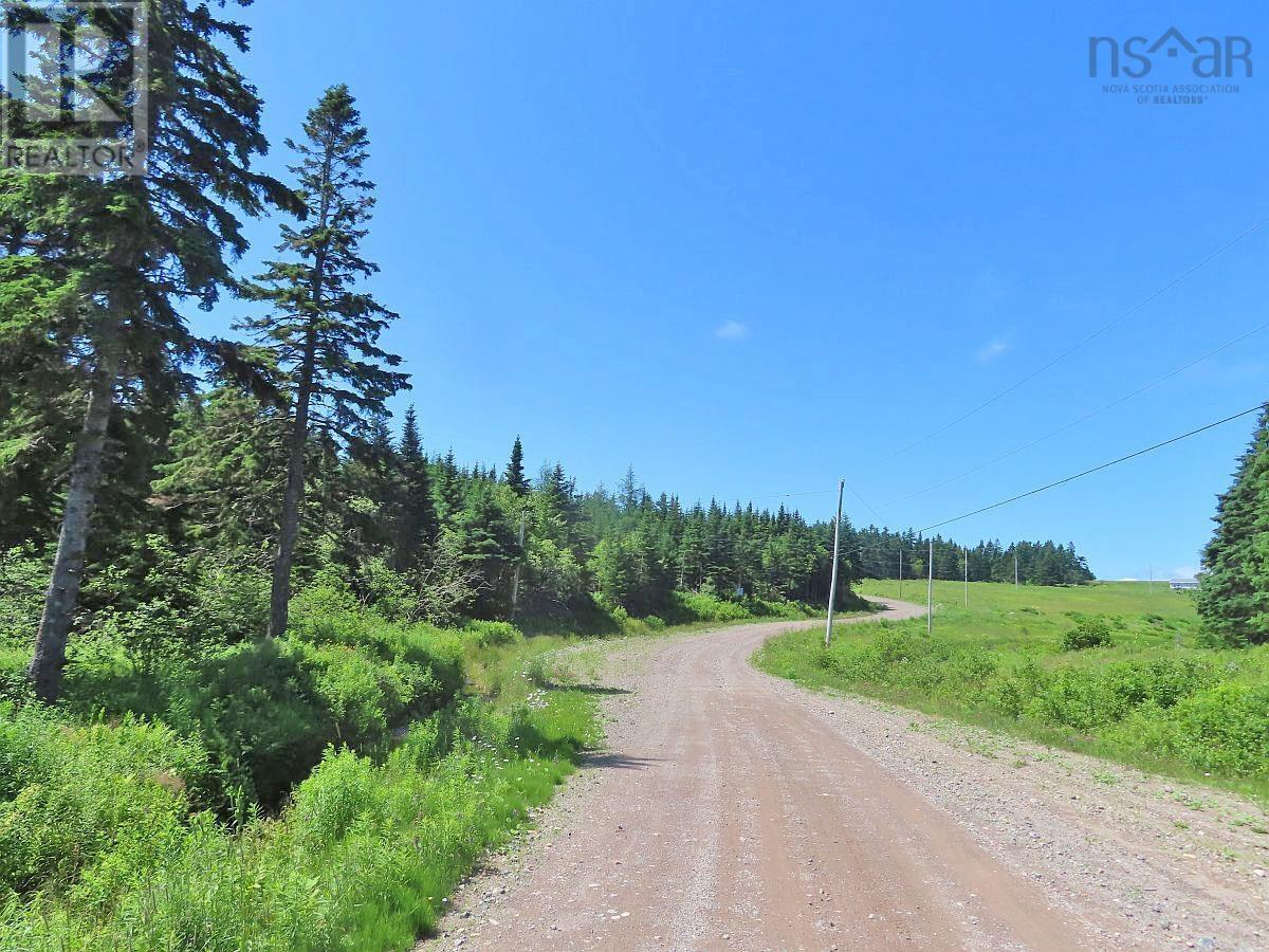 100 Acres Upper Grand Mira Road, Upper Grand Mira, Nova Scotia  B1K 1M1 - Photo 20 - 202402651