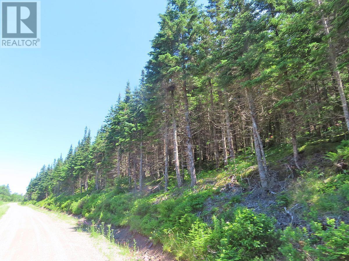 100 Acres Upper Grand Mira Road, Upper Grand Mira, Nova Scotia  B1K 1M1 - Photo 21 - 202402651