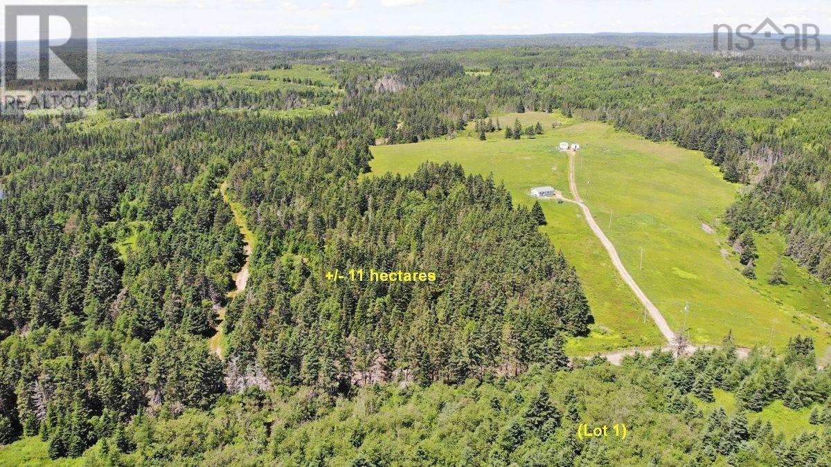 100 Acres Upper Grand Mira Road, Upper Grand Mira, Nova Scotia  B1K 1M1 - Photo 24 - 202402651