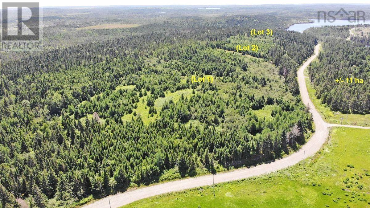 100 Acres Upper Grand Mira Road, Upper Grand Mira, Nova Scotia  B1K 1M1 - Photo 26 - 202402651