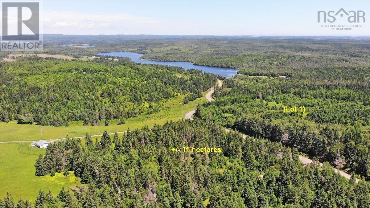 100 Acres Upper Grand Mira Road, Upper Grand Mira, Nova Scotia  B1K 1M1 - Photo 29 - 202402651