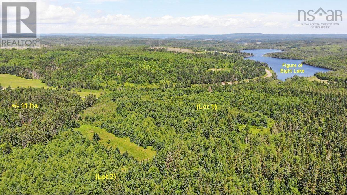 100 Acres Upper Grand Mira Road, Upper Grand Mira, Nova Scotia  B1K 1M1 - Photo 30 - 202402651