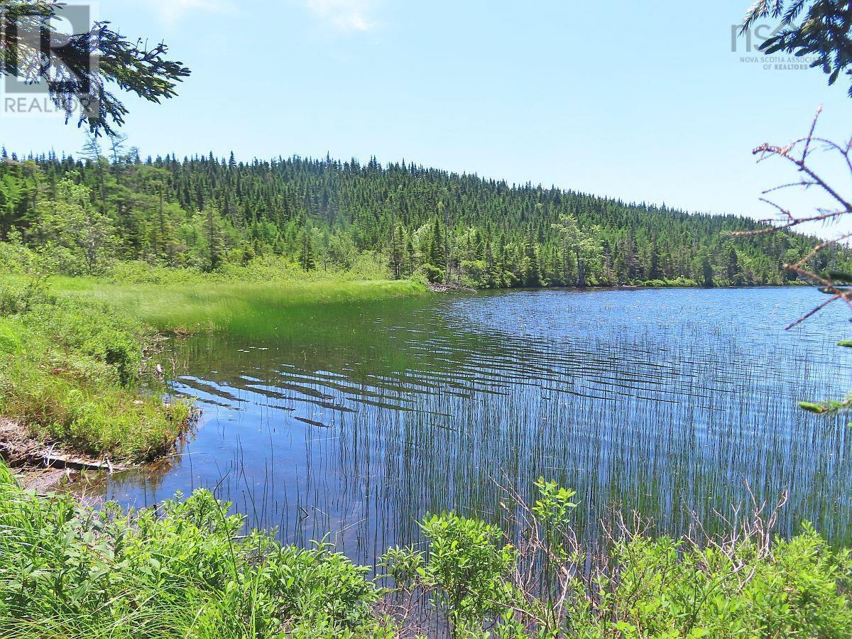 100 Acres Upper Grand Mira Road, Upper Grand Mira, Nova Scotia  B1K 1M1 - Photo 4 - 202402651