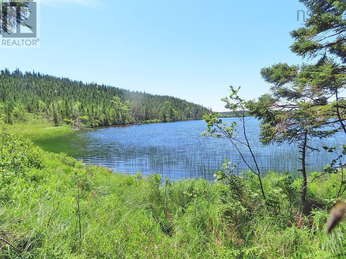 100 Acres Upper Grand Mira Road, Upper Grand Mira, Nova Scotia  B1K 1M1 - Photo 6 - 202402651