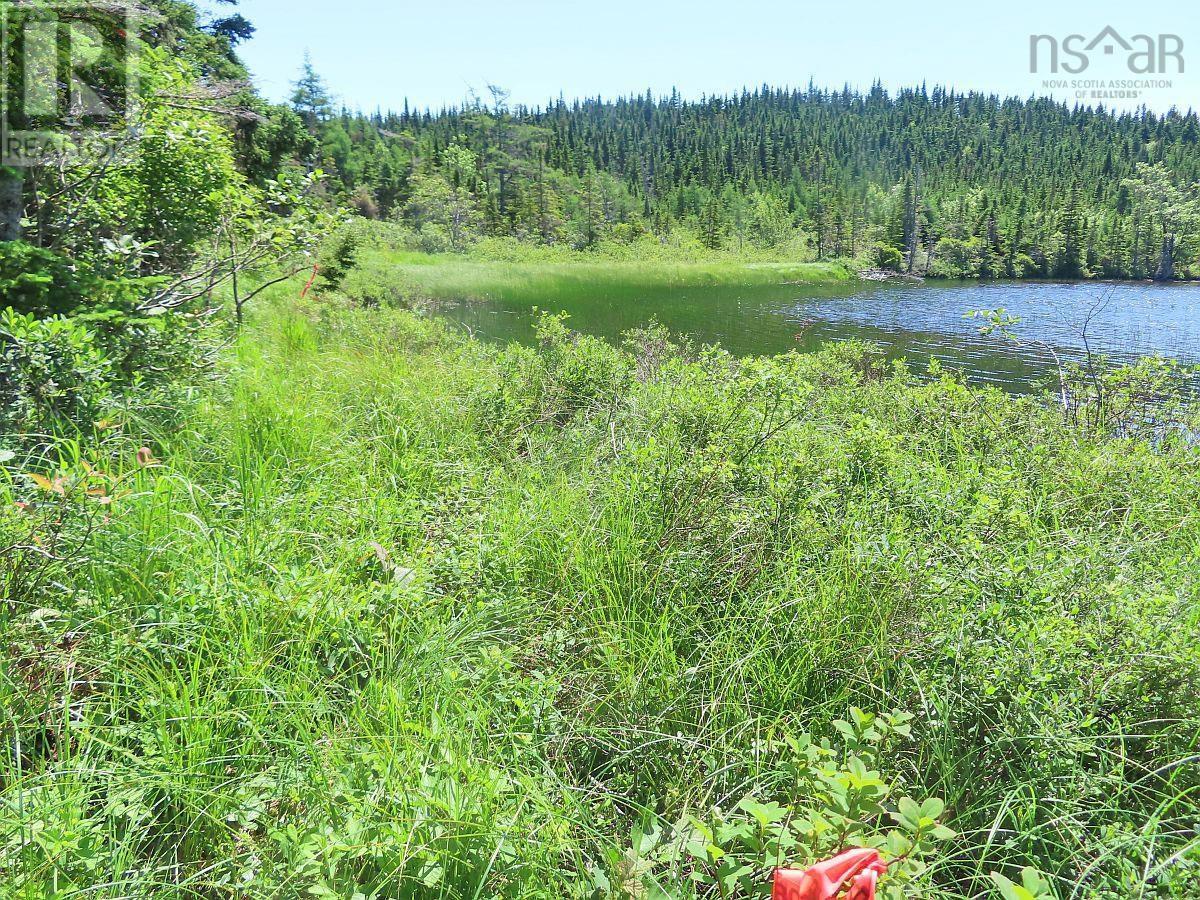 100 Acres Upper Grand Mira Road, Upper Grand Mira, Nova Scotia  B1K 1M1 - Photo 7 - 202402651