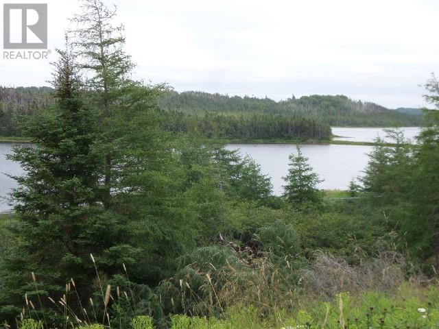 Lot 1 Junction Pond Unit#lot 1, Whitbourne, Newfoundland & Labrador  A0B 3K0 - Photo 4 - 1271898