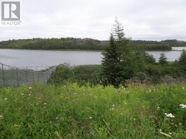 Lot 2 Junction Pond Unit#lot 2, Whitbourne, Newfoundland & Labrador  A0B 3K0 - Photo 6 - 1271899