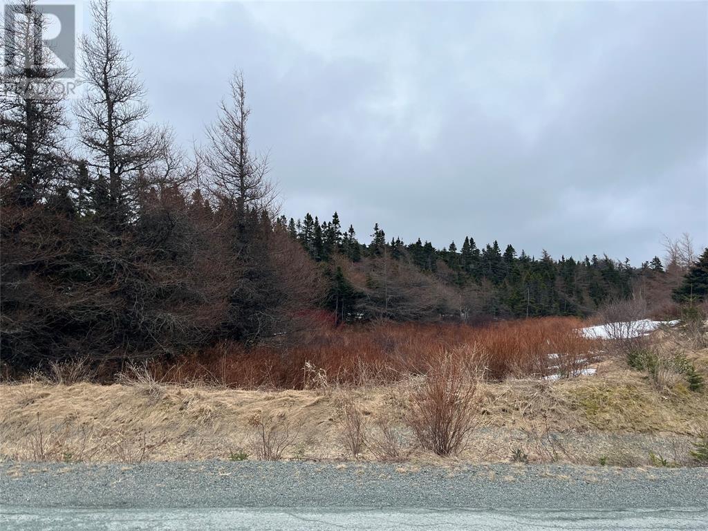 Lot 6 Jenny's Way, Logy Bay-Middle Cove-Outer Cove, Newfoundland & Labrador  A1K 0M4 - Photo 3 - 1271260