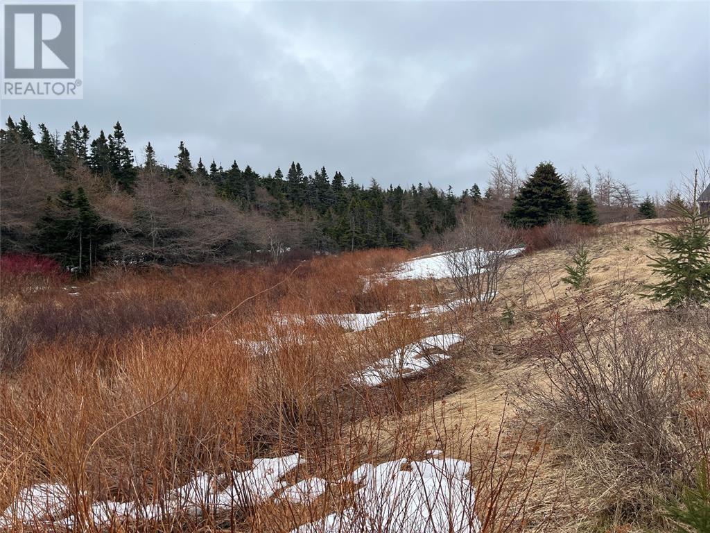 Lot 6 Jenny's Way, Logy Bay-Middle Cove-Outer Cove, Newfoundland & Labrador  A1K 0M4 - Photo 5 - 1271260