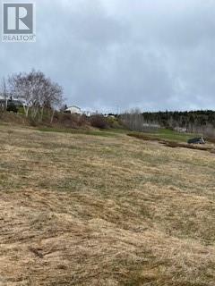 Lot#1 Baker's Lane, St. Patrick's, Newfoundland & Labrador  A0J 1T0 - Photo 11 - 1271897